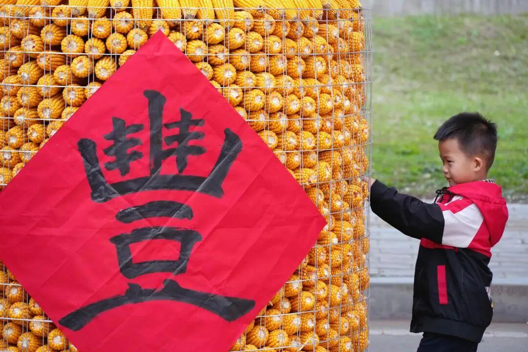 图片 图片