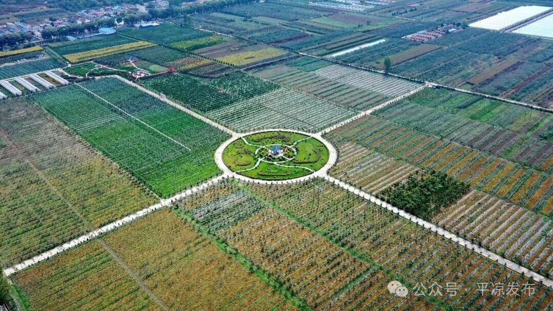 ""/ 图片